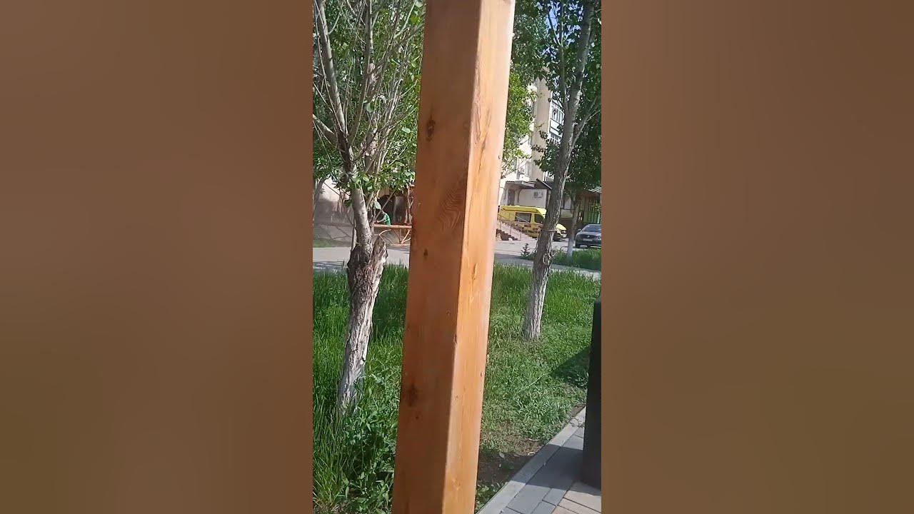 Косят траву 😀 - YouTube