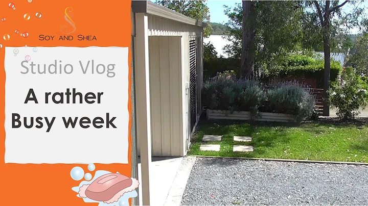 A bonus vlog - Spend a rather busy week with me in the studio as I prepare for 3 markets