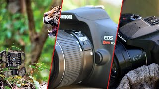 Top 10 Affordable Camera for Wildlife Photography in 2024 (Top Picks)