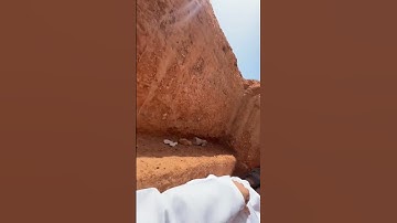 لا اقسم بيوم القيامة / سورة القيامة / القارئ الشيخ ياسر الدوسري