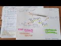 My Python Journey: How I Learned to Code (And You Can Too!)🐍💰