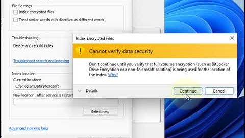 Add Encrypted Files to Index in Windows 11