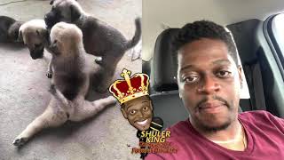 Shuler King - This Puppy Is Nasty Already!!!