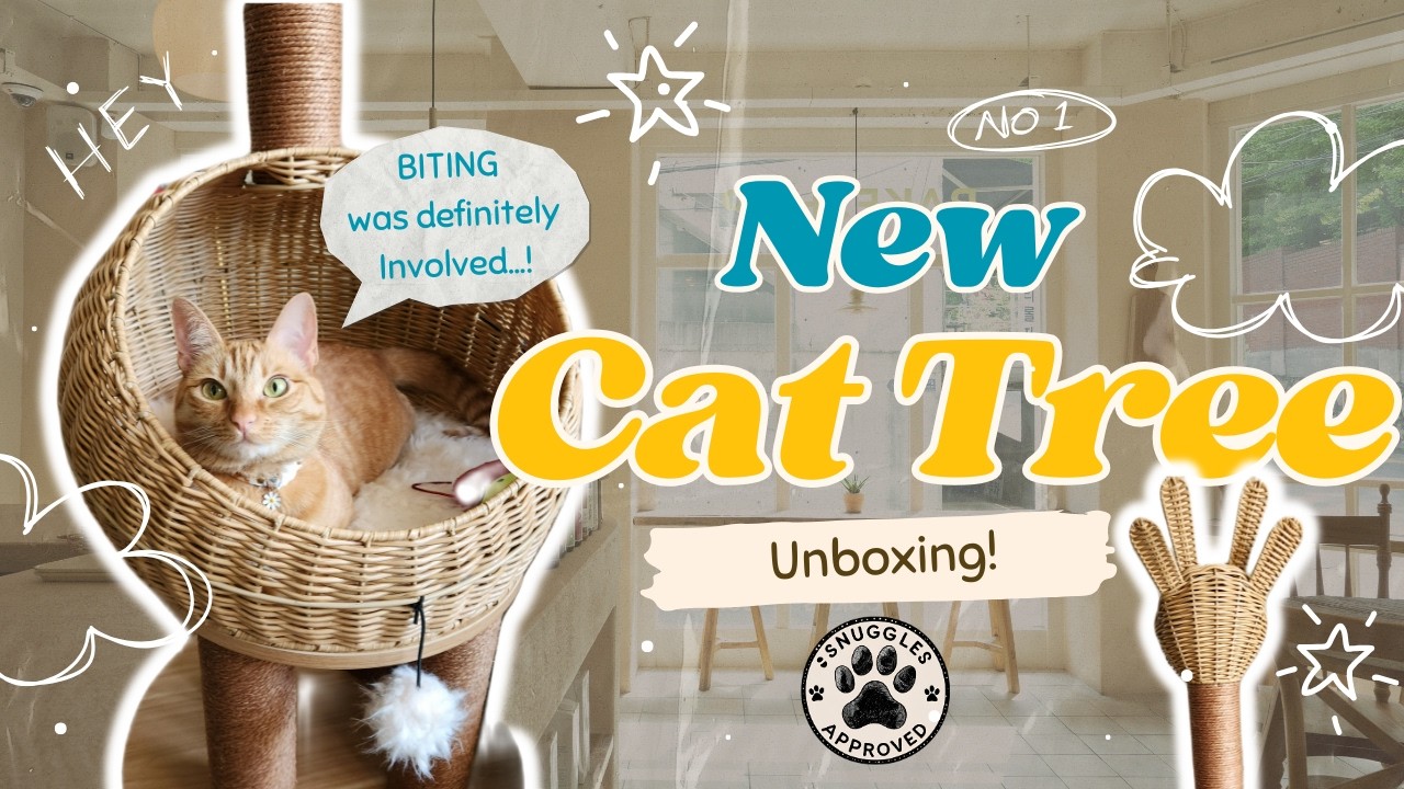 Unboxing My Cat’s Giraffe Tree (She Immediately Fought It)