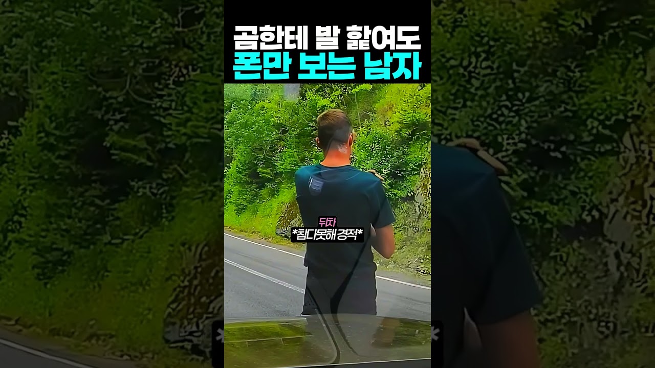 곰한테 발 핥여도 폰만 보는 남자
