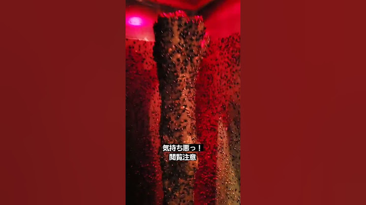 閲覧最強注意!!手を伸ばせば触れる距離!!1万匹のゴキブリ!!!匂いが凄い#shorts#izoo#ゴキブリ大量#閲覧最強注意