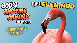 Fun Facts for Kids about Pink Flamingos | God's Amazing Animals (S1 Ep1)