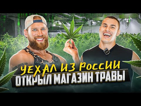 Видео: Уехал из России и открыл магазин по продаже марихуаны. Сколько зарабатывает. Проблемы. Пхукет.