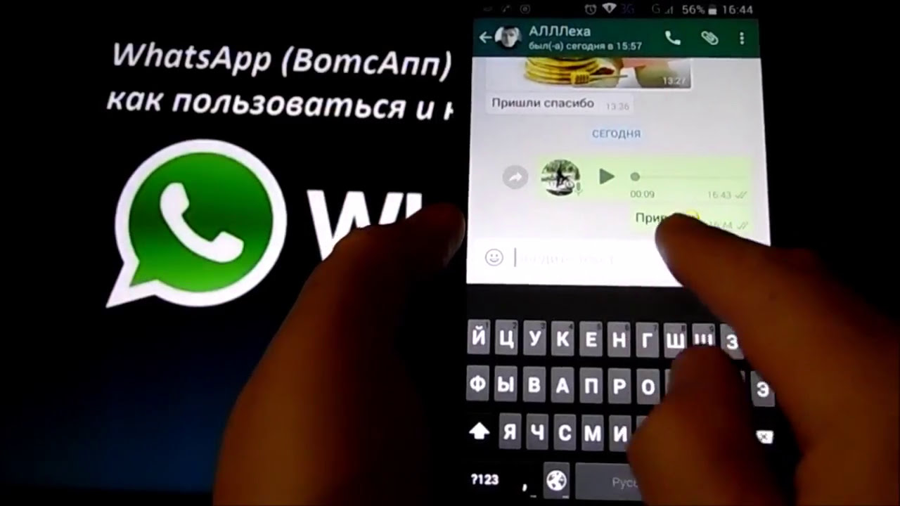 Отправить whatsapp анонимно сообщение как Как отправить