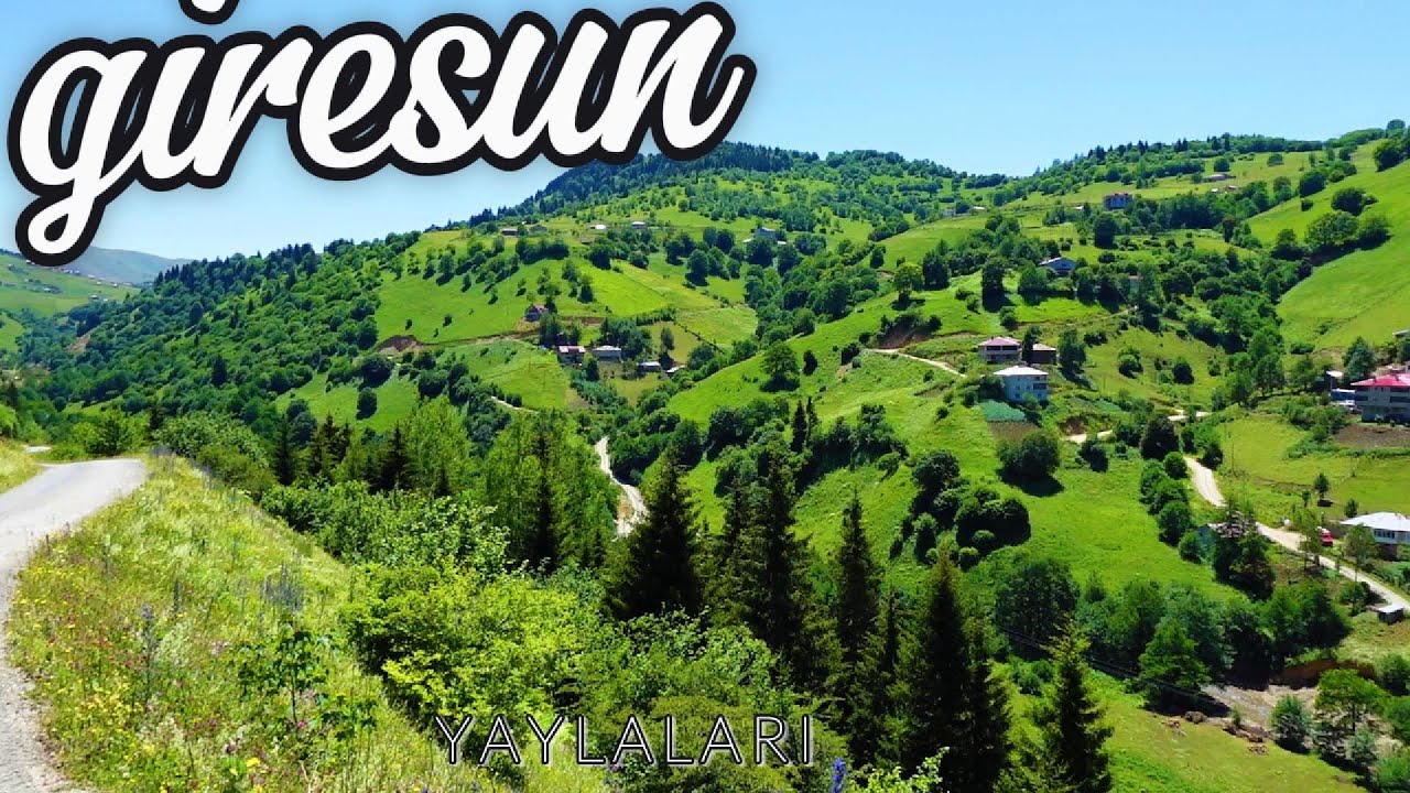 Karadeniz Yaylası Giresun