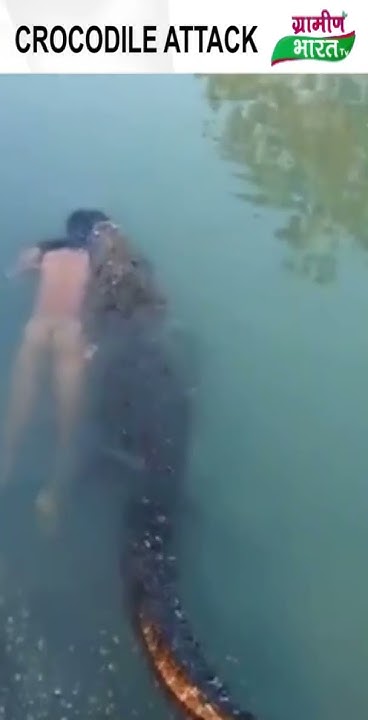 CROCODILE ATTACK - YouTube