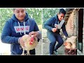 🍗🍗Desi Chicken Cutting 🍗🍗 ||Vlog.