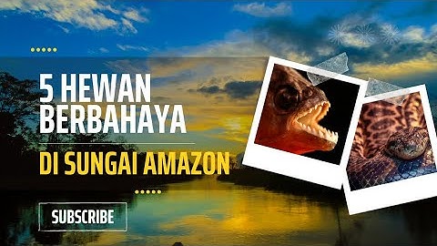 Berikut 5 hewan berbahaya yang ada di sungai amazon
