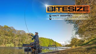 Slider Fishing For Silverfish Guru Bitesize 