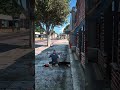 GTA 5 😂 Franklin Going to Hell for This Sin 💀 #shorts #gta #gaming #gtav #gtaonline
