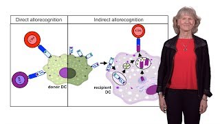 Megan Sykes (Columbia U.) 1: Introduction to Transplantation