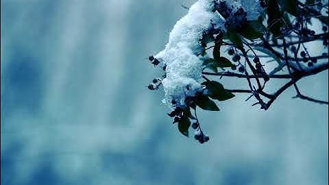 سورة الملك بصوت القارئ موسى حسن ميان