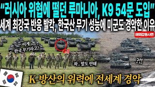 러시아 위협에 떨던 루마니아가 한국 자주포 도입   세계 최강국 미국과 전 세계에서 한국산 성능에 미군까지도 경악한 이유