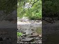 "Soothing Stream Sounds for Deep Sleep and Relaxation 🌿"→ 깊은 수면, 휴식 키워드 강화