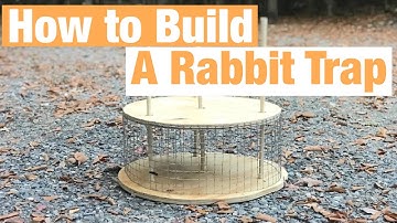 Homemade rabbit trap  Cheese Wheel Rabbit trap. How to make a rabbit trap