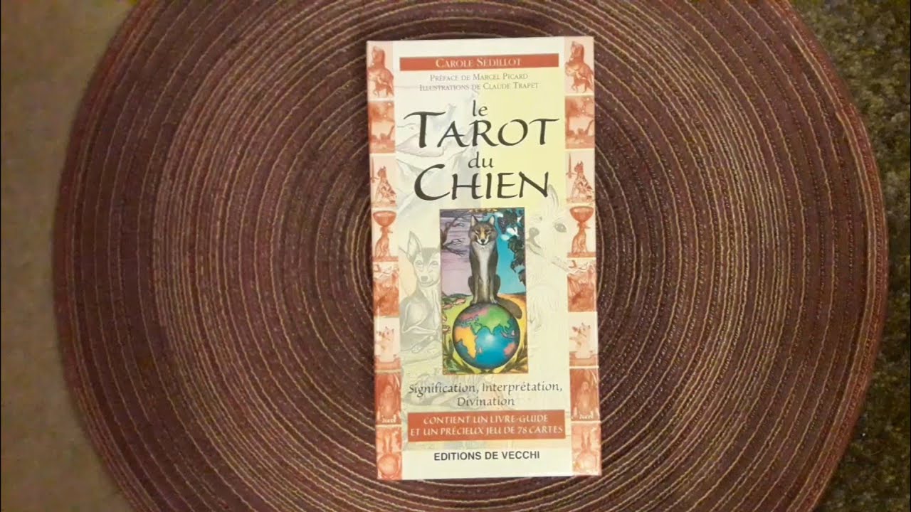 Peut On Mettre Un Roi Dans Le Chien Au Tarot www.youtube.com