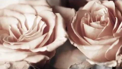 Nellie Rodriguez Memorial Video