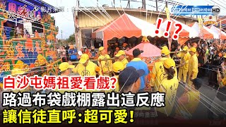 白沙屯媽祖愛看戲路過布袋戲棚露出這反應　讓信徒直呼超可愛Baishatun Mazu Pilgrimage 2021