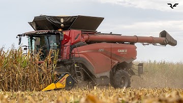 RACE AGAINST THE RAIN – CaseIH Axial Flow AF10 & Capello Diamant | Mais Harvest 2025 - Speranza