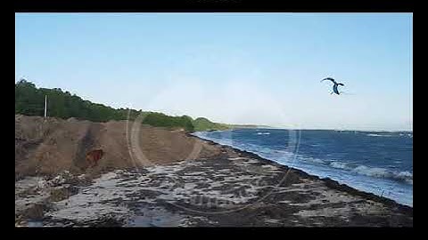 🌿🌊SARGASSUM ARRIVAL ALERT 2025 - 👉Guadeloupe - Sainte Anne - Bois Jolan