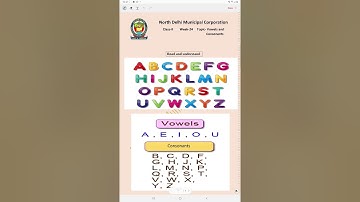 vowels and consonants Class 2 English worksheet solution week 24