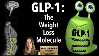 GLP1:  The Weight Loss Molecule