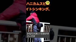 ボトムすれすれを狙うと…「でかっwww」ーシーバス #shorts