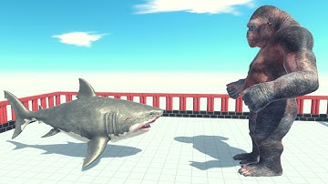 Mutant Megalodon Vs Every Giant Unit ARBS | Animal Revolt Battle Simulator