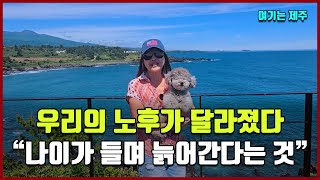 우리의 노후가 달라졌다 