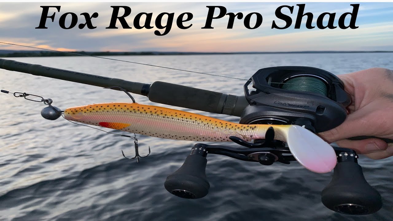 FOX RAGE PRO SHAD Fishing lure is EPIC! 