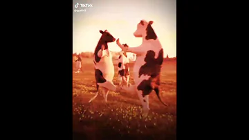 حمود حماد 