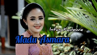 Madu Asmara - Intan Kadewie | Dangdut ( Music Video)