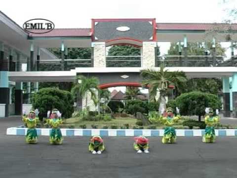 8 TARI TERBAIK BANYUWANGI VERSI ON THE CROT 4