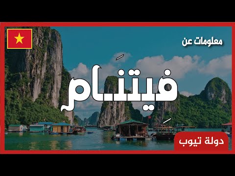 فيديو: دولة فيتنام: الجنوب والشمال والوسط
