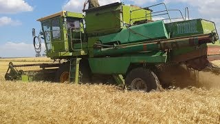 Уборка пшеницы 2017 ДОН 1500б.