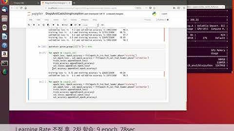 PyTorch로 시작하는 딥러닝: 8장. 모던 아키텍처 네트워크 - Inception