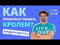 Сергей Бреус: Как правильно плавать кролем