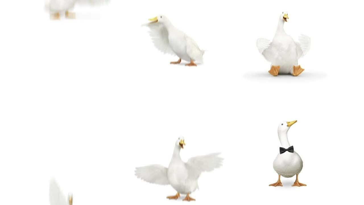 Aflac Brand Guidelines: Duck Do's and Don'ts - YouTube