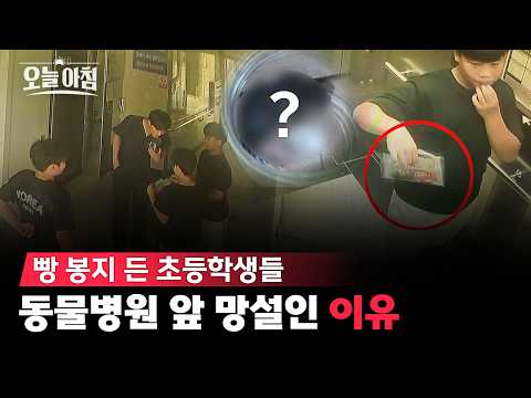 비 맞고 쓰러진 생명 살리려 용돈 털어 모아온 초등학생들! 동물병원 수의사를 놀라게 한 빵 봉지의 비밀ㅣ [생방송오늘아침] #김묘성의오늘한컷