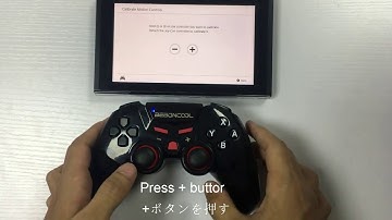 Q02 switch controller calibrate motion controls / ジャイロセンサー補正