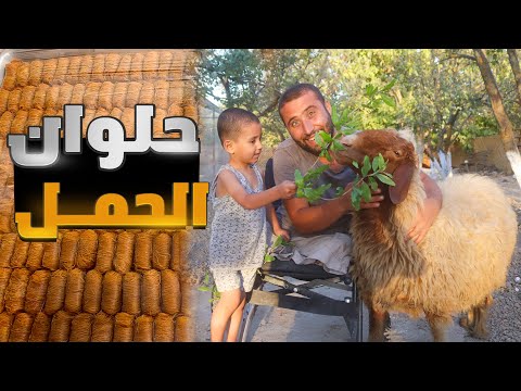 وزعت حلويات للناس في الطرقات بسبب حمل غنمتي المدللة واقتراب موعد ولادتها ردة فعل الناس في الشارع