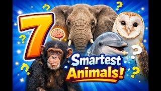 7 Smartest Animals on Earth That Will Blow Your Mind! 🐬🦉