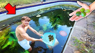 SAVING BABY TURTLES FROM ABANDONED POOL! (RESCUE MISSION)