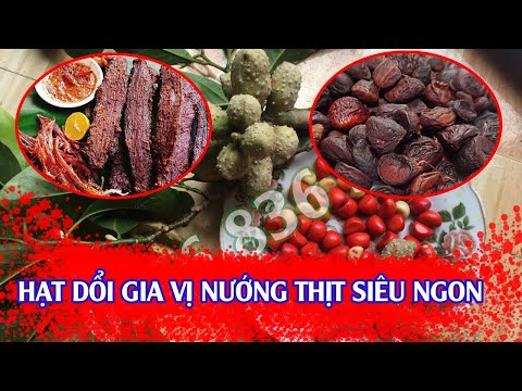 HẠT DỔI gia vị không thể thiếu trong nhiều món ăn ngon 0976 836 586