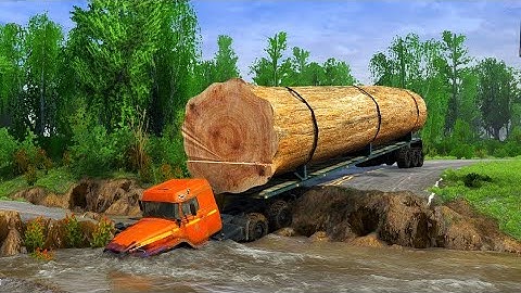 The SHOCKING Truth Behind Heavy Logging Trucks on Deadly Roads!